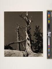Go to image 1.