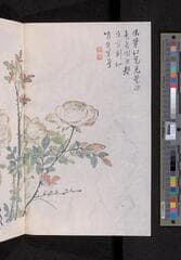 Go to image 296.