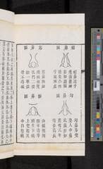 Go to image 48.