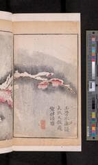 Go to image 334.