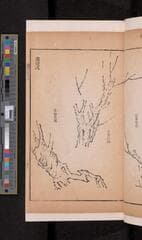 Go to image 283.