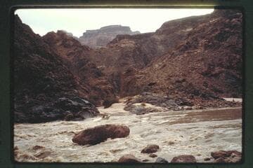 Topping Tuna Rapids