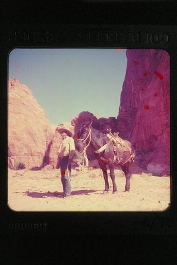 [cowboy with mule]