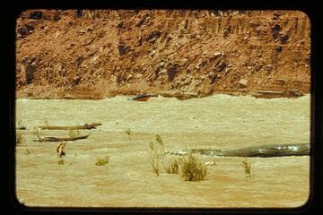 Unkar Rapid