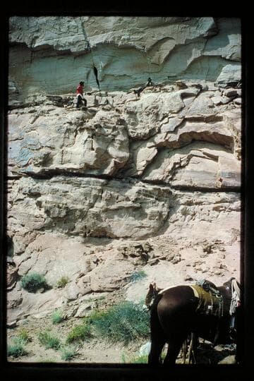 Horseshoe Canyon