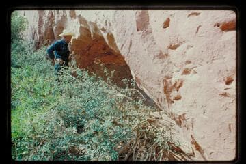 Cave; Roost Canyon