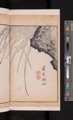 Go to image 108.