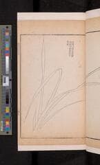 Go to image 79.
