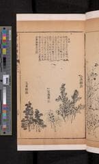 Go to image 129.