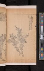 Go to image 120.