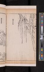 Go to image 256.