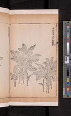 Go to image 154.