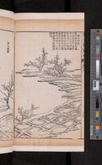 Go to image 246.