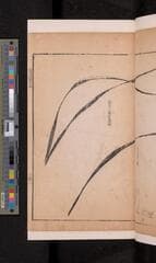 Go to image 65.
