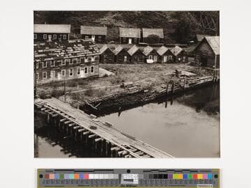 Albion, North Coast