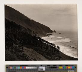 Go to image 1.