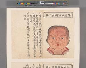 Go to image 24.