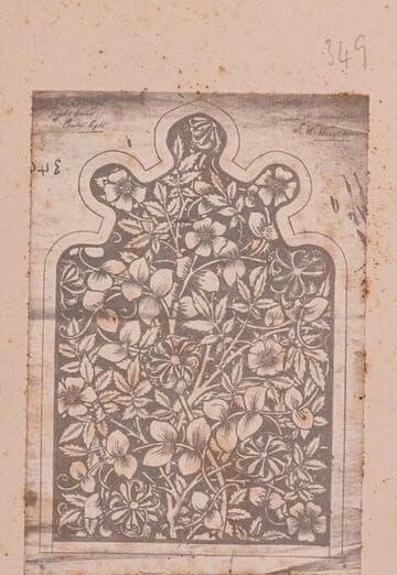 Honeysuckle