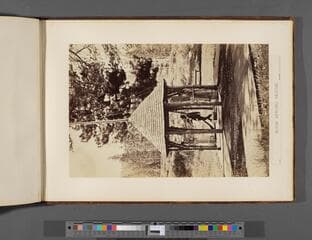 Go to image 103.