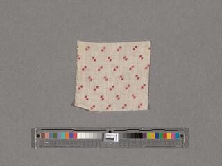 Go to image 44.