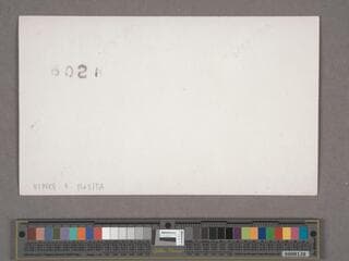 Go to image 224.