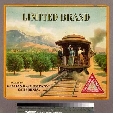 Limited Brand