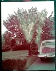Go to image 4.