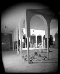 Go to image 13.