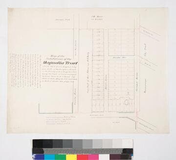 Subdivision of the Magnolia Tract