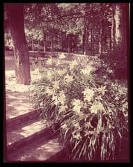 Go to image 7.