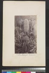 Go to image 90.