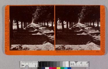 Go to image 1.