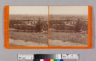 Go to image 1.