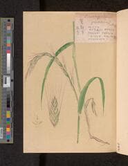 Go to image 7.