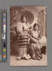 Go to image 263.