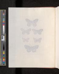 Go to image 26.