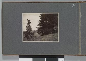 Go to image 40.
