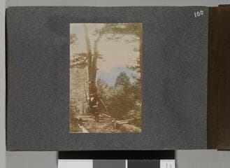 Go to image 102.