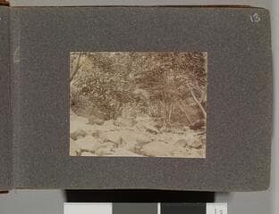 Go to image 15.