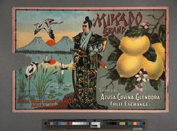 Mikado Brand