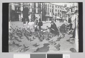Venice plaza