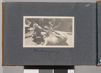 Go to image 102.
