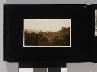 Go to image 74.