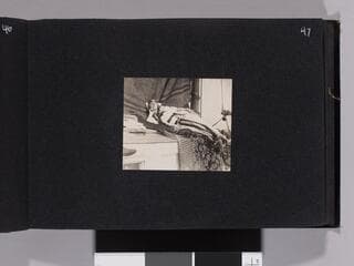 Go to image 49.