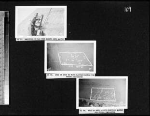 Go to image 113.