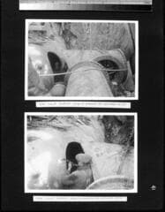 Go to image 45.
