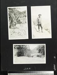 Go to image 77.