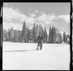 Go to image 13.