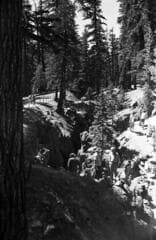 Go to image 162.