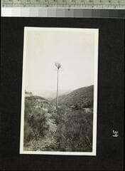 Go to image 40.